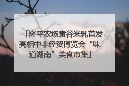 隆平农场袁谷米乳首发亮相中非经贸博览会“味道湖南”美食市集