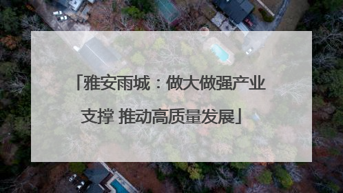雅安雨城：做大做强产业支撑 推动高质量发展