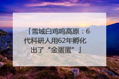 雪域白鸡鸣高原：6代科研人用62年孵化出了“金蛋蛋”