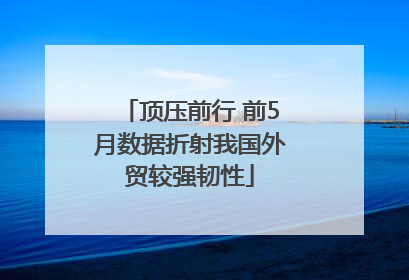 顶压前行 前5月数据折射我国外贸较强韧性