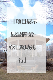 项目展示显温情 爱心汇聚助残行