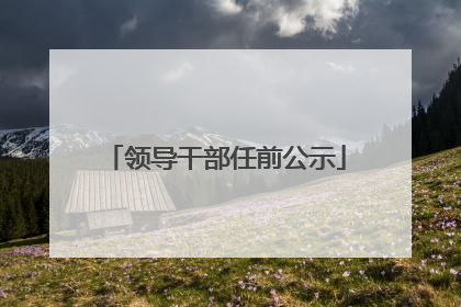 领导干部任前公示