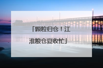 颗粒归仓！江淮粮仓夏收忙