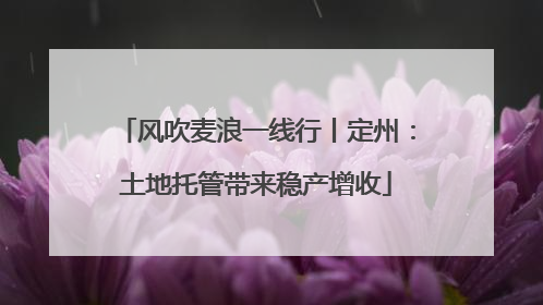 风吹麦浪一线行丨定州：土地托管带来稳产增收