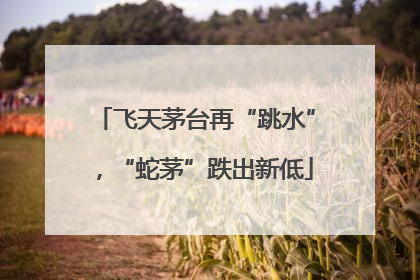 飞天茅台再“跳水”，“蛇茅”跌出新低