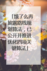 饿了么再披露路线规划算法，已公开并推进优化四项关键算法