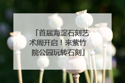 首届海淀石刻艺术周开启！来紫竹院公园玩转石刻