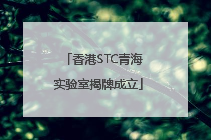 香港STC青海实验室揭牌成立