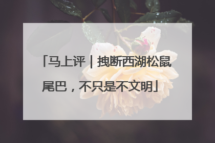 马上评｜拽断西湖松鼠尾巴，不只是不文明