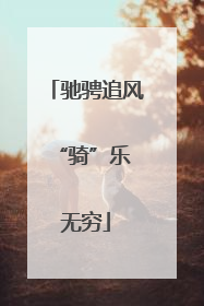 驰骋追风 “骑”乐无穷