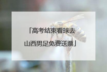 高考结束看球去 山西男足免费送票