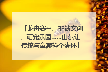 龙舟赛事、非遗文创、萌宠乐园……山东让传统与童趣撞个满怀