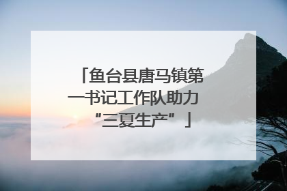 鱼台县唐马镇第一书记工作队助力“三夏生产”