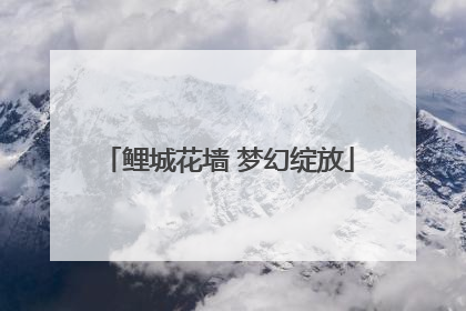 鲤城花墙 梦幻绽放