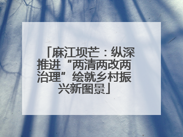 麻江坝芒：纵深推进“两清两改两治理”绘就乡村振兴新图景