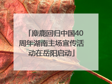 麋鹿回归中国40周年湖南主场宣传活动在岳阳启动