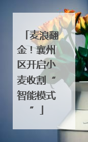 麦浪翻金！襄州区开启小麦收割“智能模式”