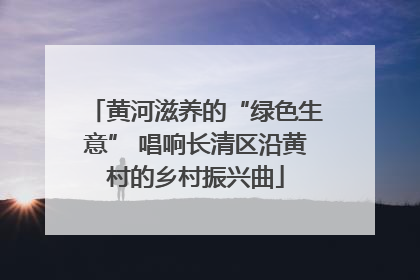 黄河滋养的“绿色生意” 唱响长清区沿黄村的乡村振兴曲