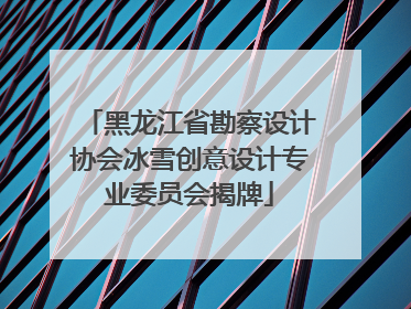 黑龙江省勘察设计协会冰雪创意设计专业委员会揭牌