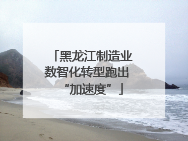 黑龙江制造业数智化转型跑出“加速度”