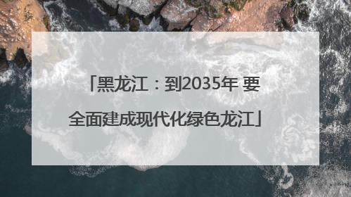 黑龙江：到2035年 要全面建成现代化绿色龙江