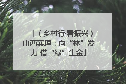 （乡村行·看振兴）山西襄垣：向“林”发力 借“绿”生金