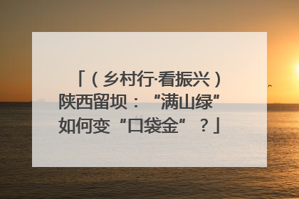 （乡村行·看振兴）陕西留坝：“满山绿”如何变“口袋金”？