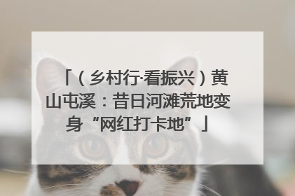 （乡村行·看振兴）黄山屯溪：昔日河滩荒地变身“网红打卡地”