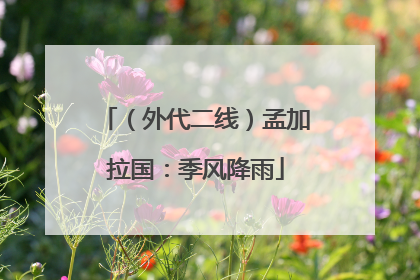 （外代二线）孟加拉国：季风降雨