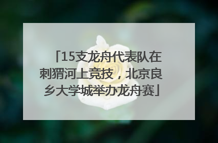 15支龙舟代表队在刺猬河上竞技，北京良乡大学城举办龙舟赛