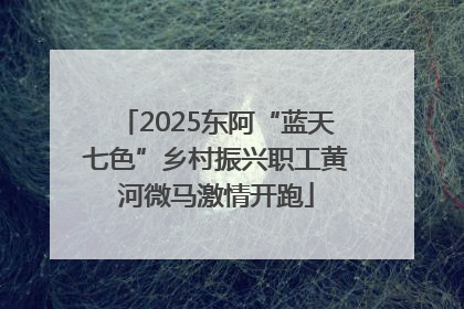 2025东阿“蓝天七色”乡村振兴职工黄河微马激情开跑