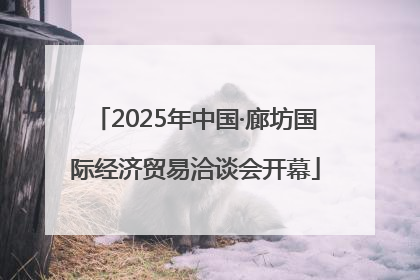 2025年中国·廊坊国际经济贸易洽谈会开幕
