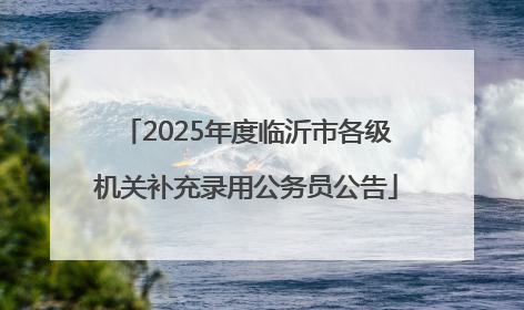 2025年度临沂市各级机关补充录用公务员公告