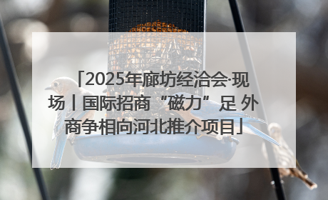 2025年廊坊经洽会·现场丨国际招商“磁力”足 外商争相向河北推介项目