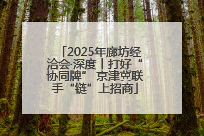2025年廊坊经洽会·深度丨打好“协同牌” 京津冀联手“链”上招商