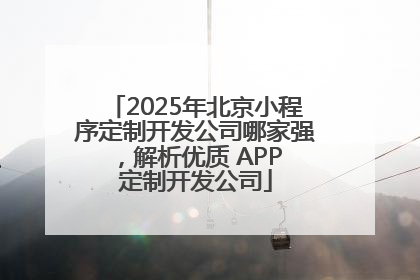2025年北京小程序定制开发公司哪家强，解析优质 APP 定制开发公司