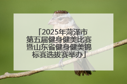 2025年菏泽市第五届健身健美比赛暨山东省健身健美锦标赛选拔赛举办