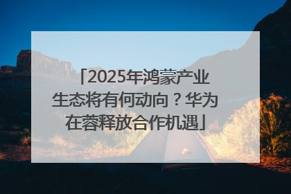 2025年鸿蒙产业生态将有何动向？华为在蓉释放合作机遇