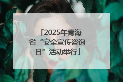 2025年青海省“安全宣传咨询日”活动举行