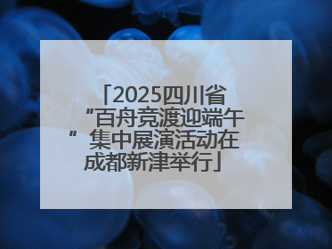 2025四川省“百舟竞渡迎端午”集中展演活动在成都新津举行
