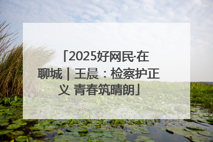 2025好网民·在聊城｜王晨：检察护正义 青春筑晴朗