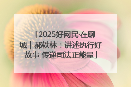 2025好网民·在聊城｜郝轶林：讲述执行好故事 传递司法正能量