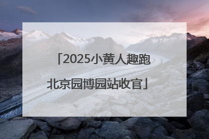 2025小黄人趣跑北京园博园站收官