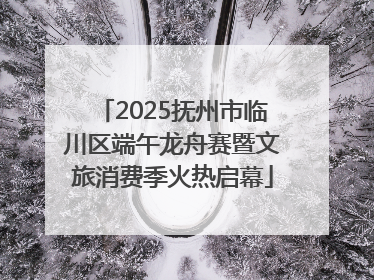 2025抚州市临川区端午龙舟赛暨文旅消费季火热启幕