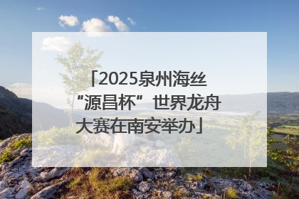 2025泉州海丝“源昌杯”世界龙舟大赛在南安举办