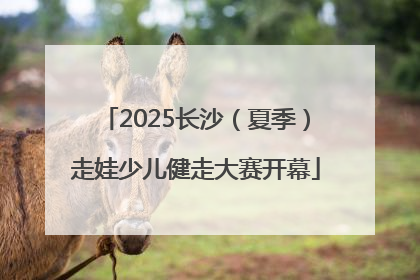 2025长沙（夏季）走娃少儿健走大赛开幕