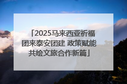 2025马来西亚祈福团来泰安团建 政策赋能共绘文旅合作新篇