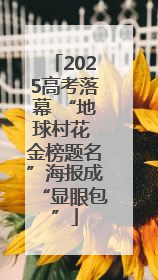 2025高考落幕 “地球村花 金榜题名”海报成“显眼包”