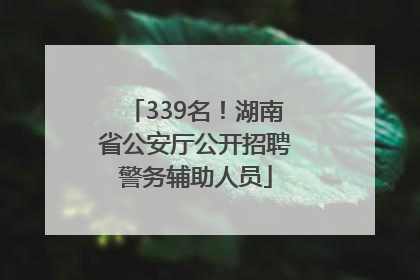 339名！湖南省公安厅公开招聘警务辅助人员
