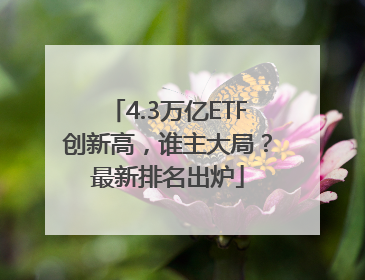 4.3万亿ETF创新高，谁主大局？最新排名出炉